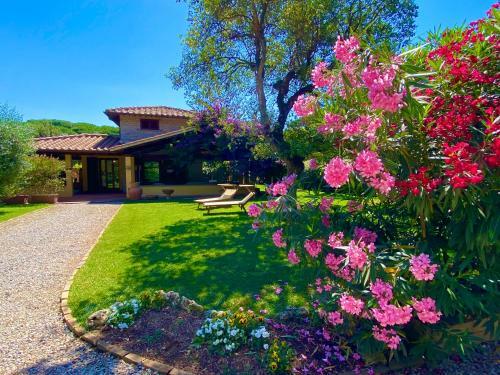 Villa Luna