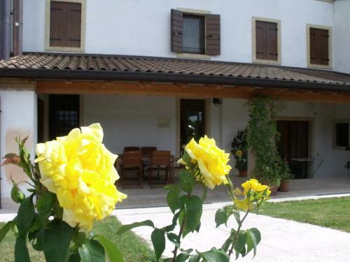 Apartamento Agriturismo Al Tralcio