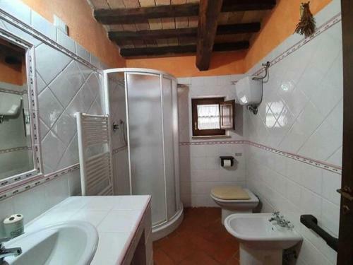 Attractive Holiday Home In Seggiano With Shared Pool