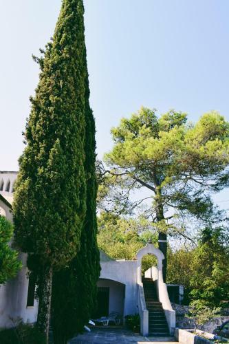 Apartamento Borgo Del Mirto