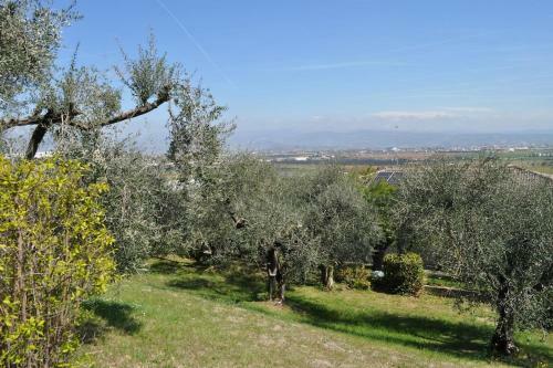 La Casa Tra Gli Olivi