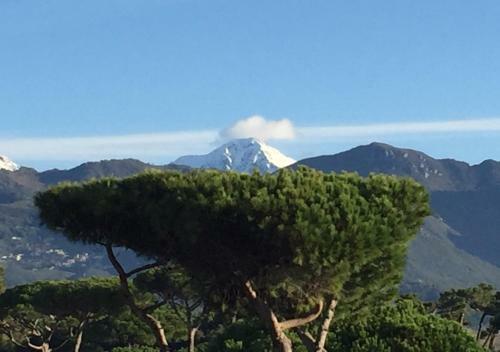 Apartamentos Riviera Residence