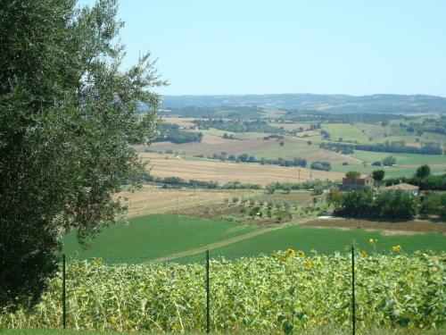 Apartamento Podere Fontegallo