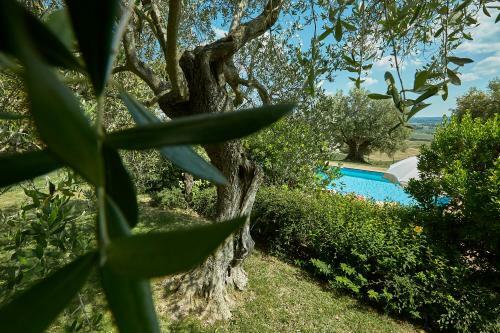 Apartamento Podere Fontegallo