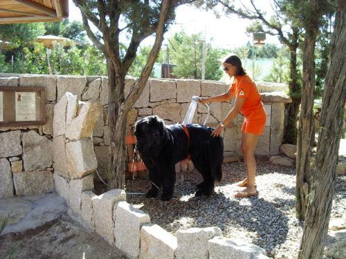 Apartamento Residenza Capriccioli