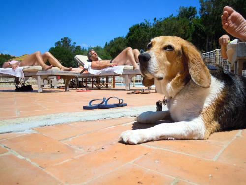 Apartamento Residenza Capriccioli