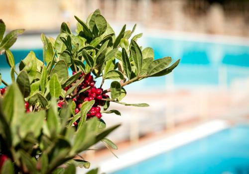 Apartamento Residenza Capriccioli