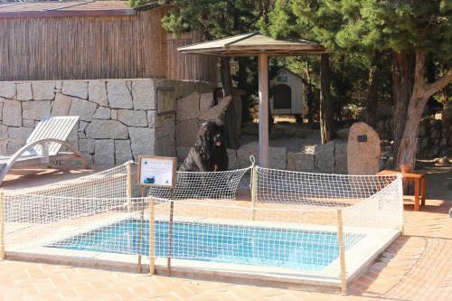 Apartamento Residenza Capriccioli