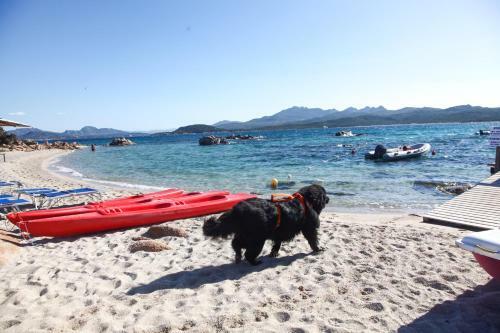 Apartamento Residenza Capriccioli