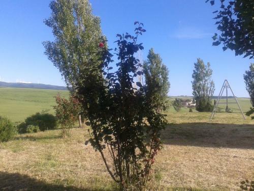 Agroturismo I Greppioli