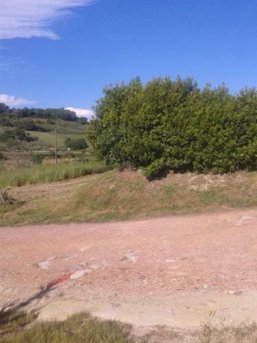 Agroturismo I Greppioli