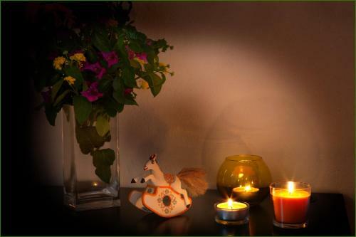 Bed & Breakfast Ai Parchi Dei Parrini