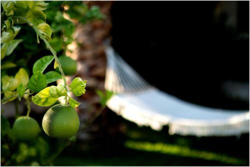 Bed & Breakfast Ai Parchi Dei Parrini