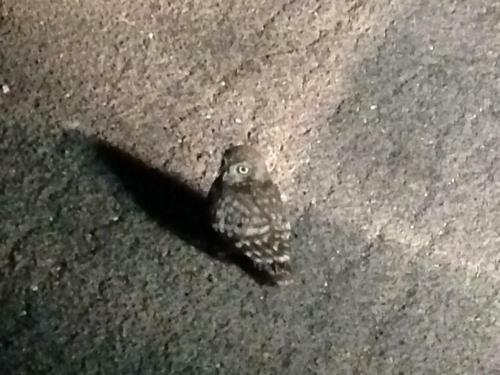 B&B Finestre Tra Gli Ulivi