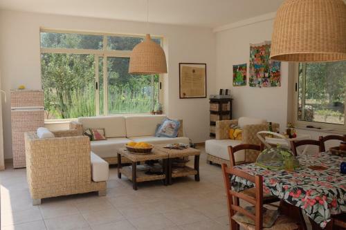 B&B Finestre Tra Gli Ulivi
