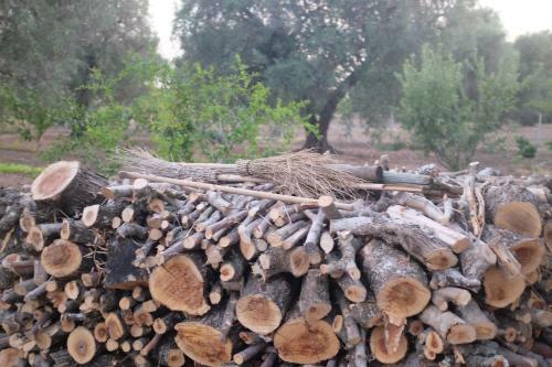 B&B Finestre Tra Gli Ulivi