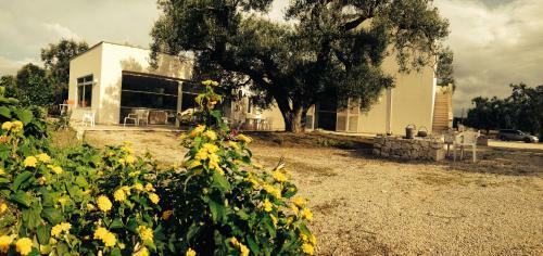 B&B Finestre Tra Gli Ulivi