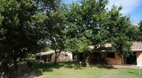 Oasimaremma Village