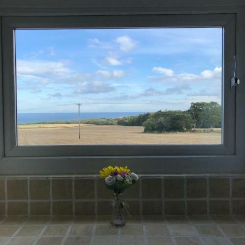Sea View Cottage & Garden, Dunsley
