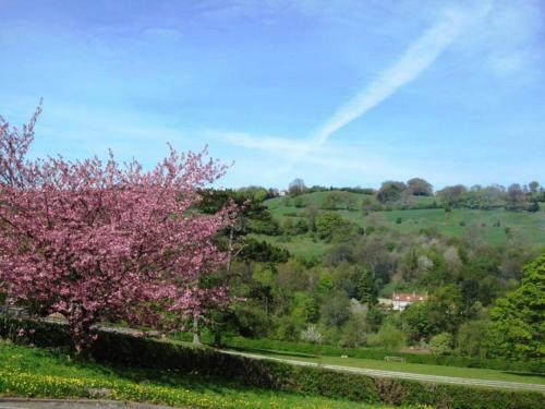 Bed & Breakfast Beechlands B & B