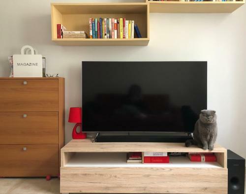Apartamento Appartamento In Residence Nella Zona Incantevole