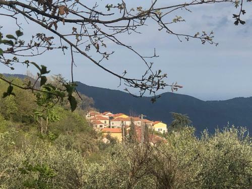 Apartamento Appartamento In Residence Nella Zona Incantevole