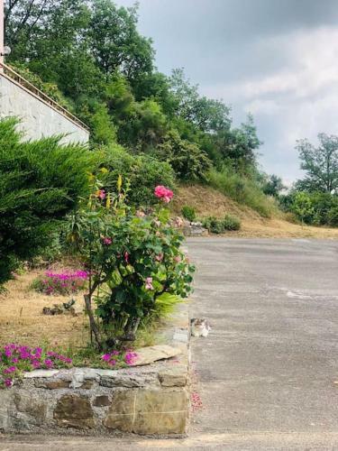 Apartamento Appartamento In Residence Nella Zona Incantevole