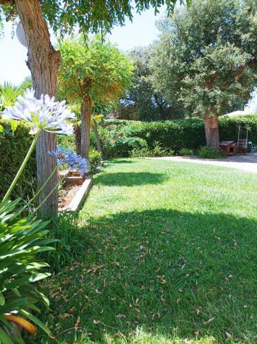 Apartamento Casa Mimosa Holiday Room
