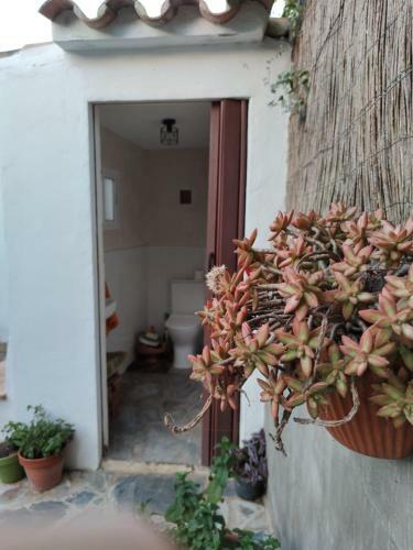 La Muela De Vejer