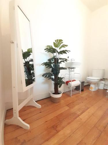 Apartamento Habitaci�n Tipo Loft Con Ba�o Independiente