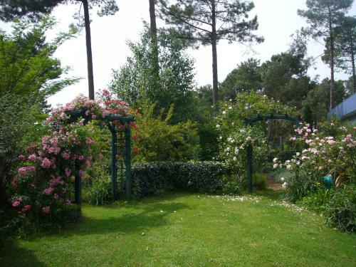 Beautiful Flowery Garden, Pool And Pleasant House