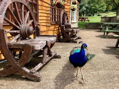 Water Mill Vacations - Kingfisher