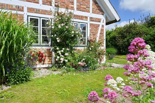 Apartamento Landhaus Vilmnitz - Wohnung 9