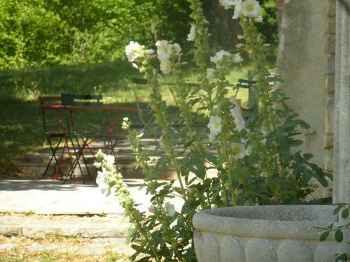 Domaine D'exception Pour Groupe Dans Site Naturel