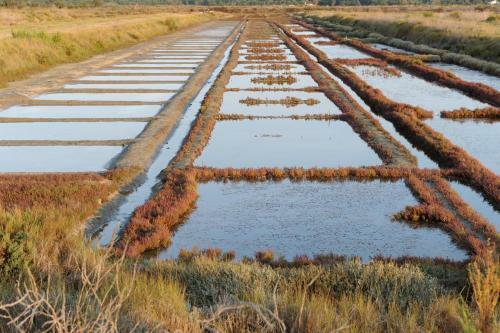 Les Voiliers/la Flotte En R�