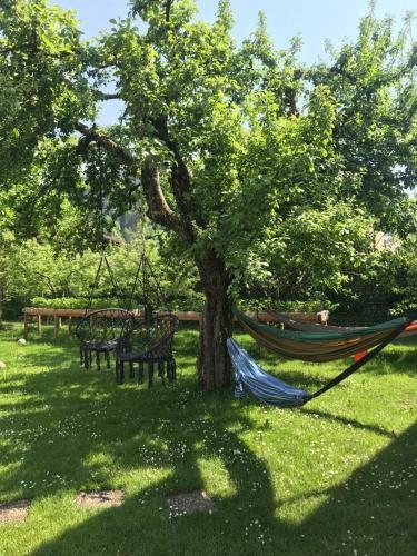 Apartamento Dolomiti House 9