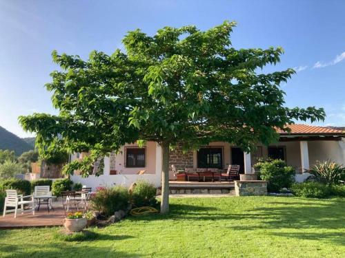 Countryside Villa In Sardinia