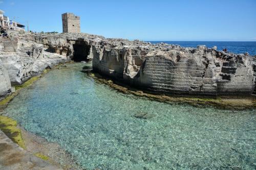 Apartamento Mancini's Place