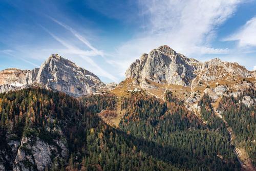 Apartamento Comodo Appartamento [trento Centro] Il Duomo Bianco