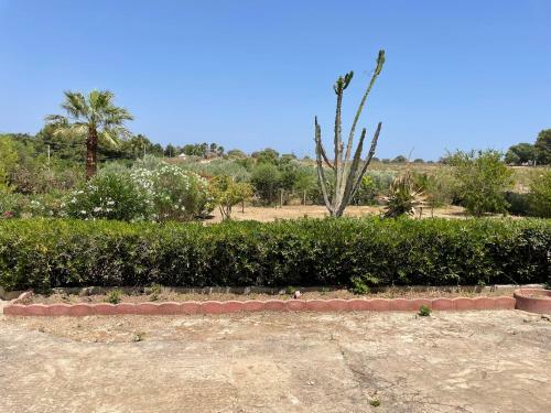 Villetta San Lorenzo/marzamemi