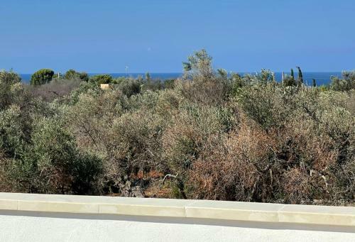 Dimora Della Felicit�, Santa Maria Di Leuca