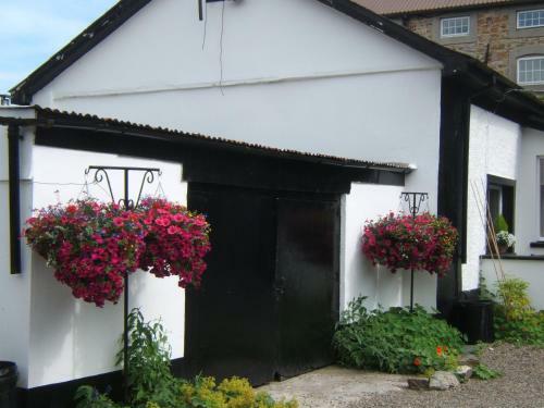 Hostal Faythe Guesthouse
