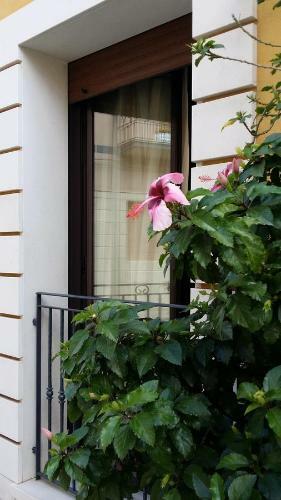 Bed & Breakfast Terra Del Sole Vittoria
