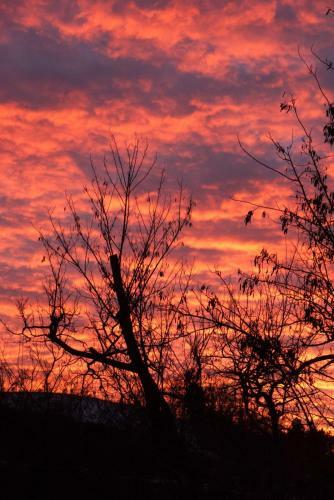 Agroturismo Agriturismo Mirasole