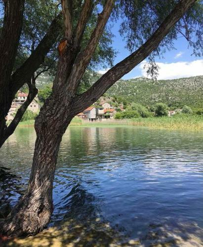 Skadar Lake House Kraljevic