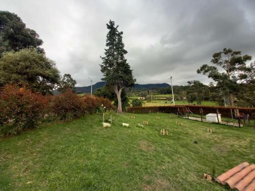 Agroturismo Green House