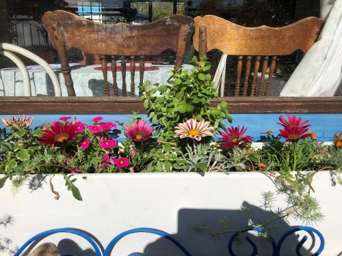 Apartamento The Speckled Egg, 4 Promenade Rd, Lakeside, Cape Town
