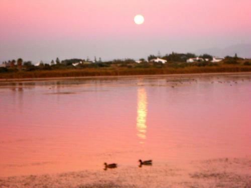 Apartamento The Speckled Egg, 4 Promenade Rd, Lakeside, Cape Town