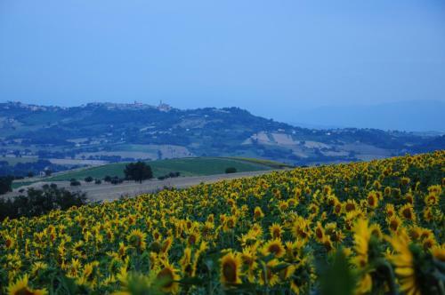 Agroturismo Il Casale