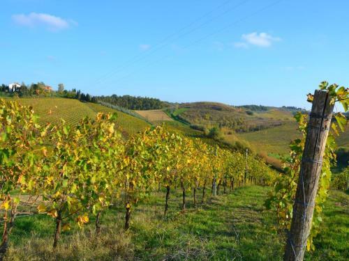 Apartamentos Corte In Poggio Uno - Giaggiolo